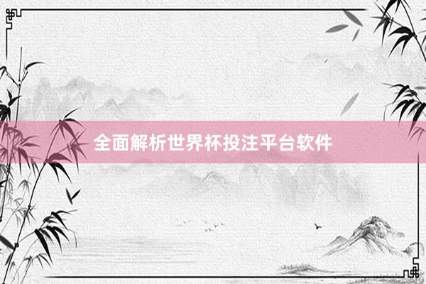 全面解析世界杯投注平台软件